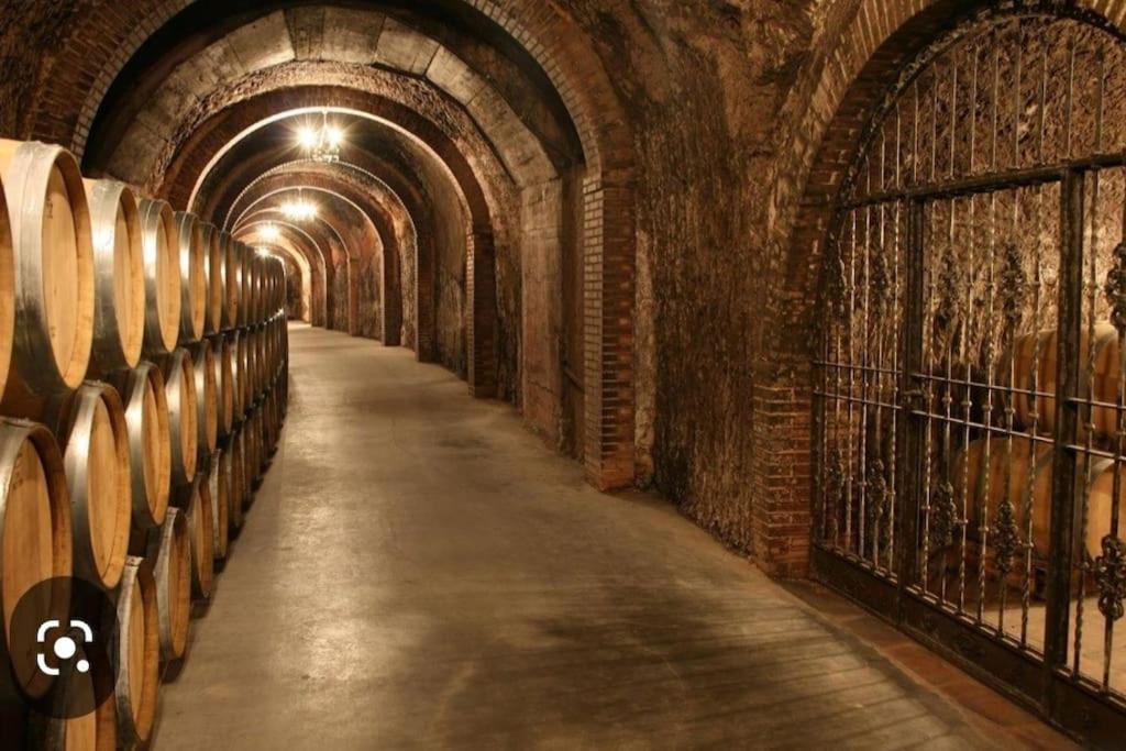 Alojamiento Centrico La Buganvilla Aranda de Duero Exterior foto
